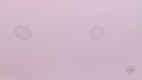 Snapshot of emilyy_bank chatting on 03.29.26 Emily Bank online show from 03.29.26