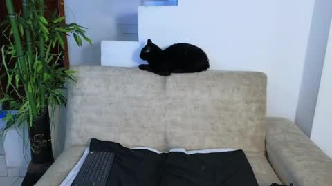 Snapshot of emma_blue_ chatting on 04.22.26 Emma Blue modelo independiente online show from 04.22.26