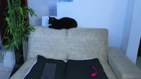 Snapshot of emma_blue_ chatting on 04.23.26 Emma Blue modelo independiente online show from 04.23.26