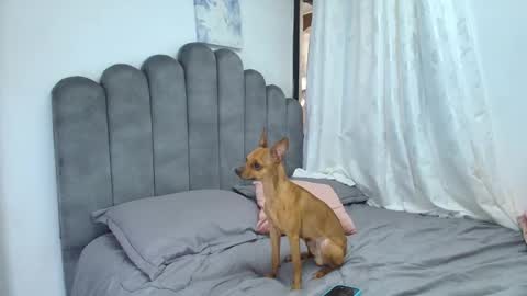 emma_saenz01 online show from 02.12.26