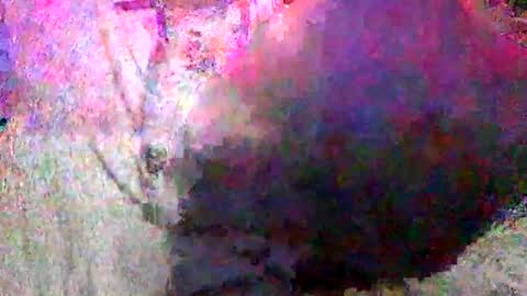 Snapshot of enjooythenut chatting on 01.18.25 Batman online show from 01.18.25