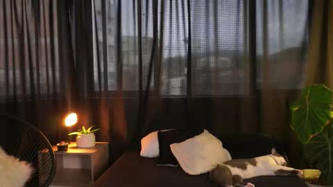 Eros Wild online show from 12.16.25