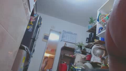 estelamaris online show from 03.11.25