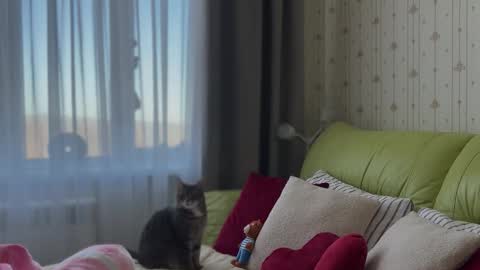 Estella online show from 02.03.26