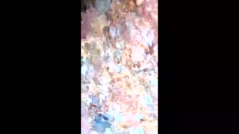 Snapshot of esteralcantara chatting on 02.09.26 esteralcantara online show from 02.09.26