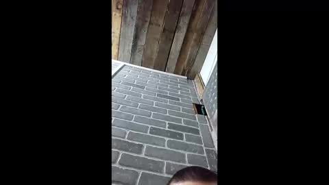 ethanfish600 online show from 03.03.26