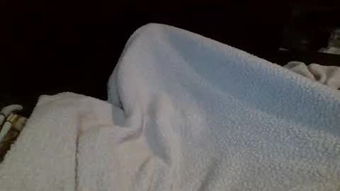 Snapshot of eu369033 chatting on 02.25.26 eu369033 online show from 02.25.26