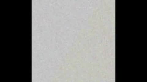 Eva online show from 03.02.25