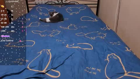 Snapshot of eva_zero chatting on 02.08.26 Eva online show from 02.08.26