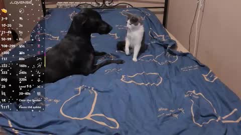 Snapshot of eva_zero chatting on 03.03.26 Eva online show from 03.03.26