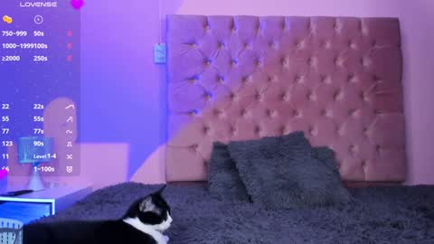 Snapshot of evaolimpo chatting on 01.08.25 Eva Olimpo online show from 01.08.25