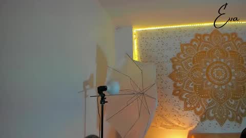 Snapshot of evarmirezz chatting on 12.31.24 Eva Rmirezz online show from 12.31.24