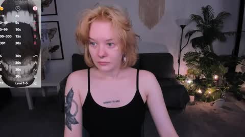      online show from 04.19.26