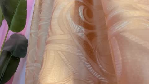 evelyn__rose1 online show from 03.08.26