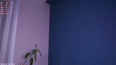 Anita online show from 01.11.26