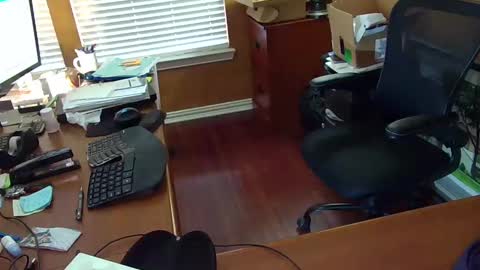 Snapshot of exhibitman69_ldb chatting on 02.14.25 exhibitman69_ldb online show from 02.14.25