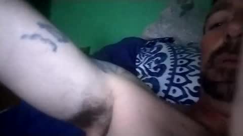 experttreecompany online show from 02.15.26