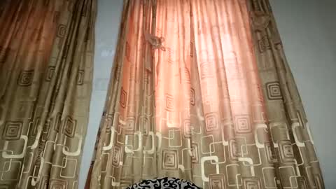 Nina online show from 04.11.26