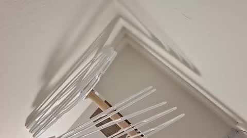 eyyoboobo0 online show from 04.17.26