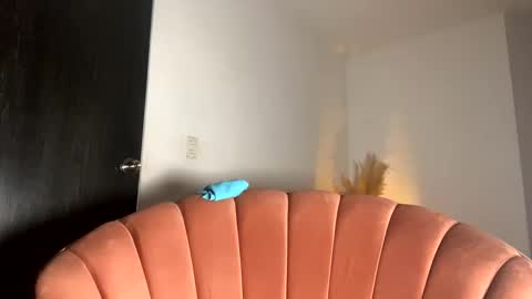 Thianna online show from 11.15.25