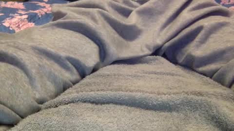 Snapshot of facedownassup219267 chatting on 01.25.25 facedownassup219267 online show from 01.25.25