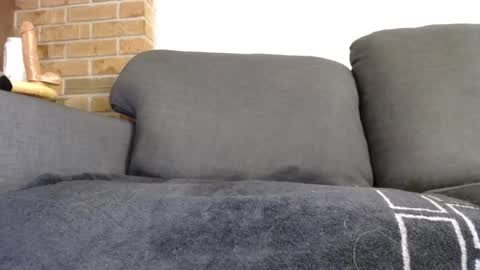 Snapshot of fafnir1278 chatting on 01.20.25 fafnir1278 online show from 01.20.25