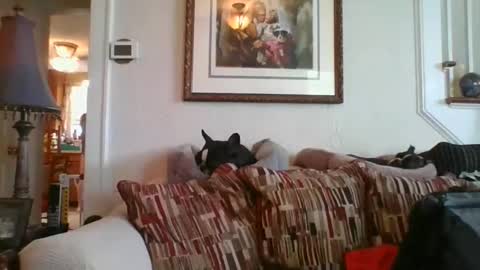 fairmount31 online show from 02.19.25