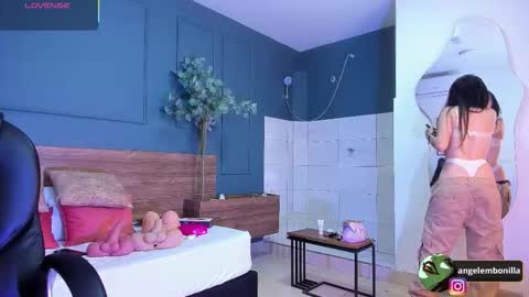 Snapshot of fallen_angel999777 chatting on 11.06.25 Megan 630 1330 -5 online show from 11.06.25