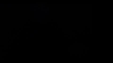 FallGays online show from 12.26.24