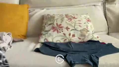 falupy online show from 04.24.26