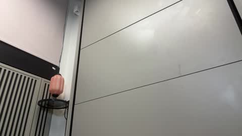 Gattino online show from 12.13.24