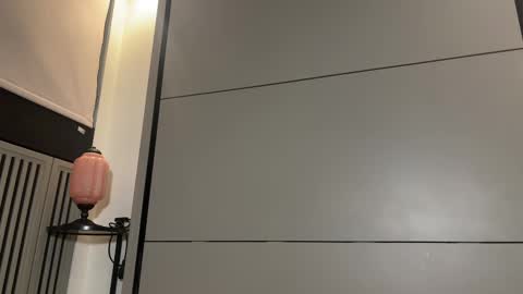 Gattino online show from 03.08.25