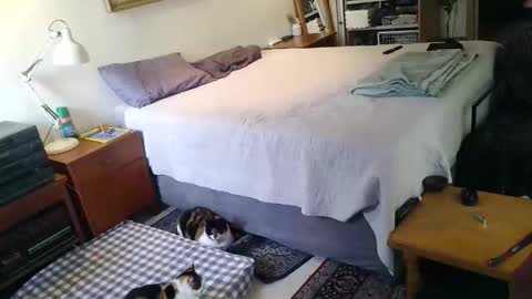 KingT online show from 04.19.26