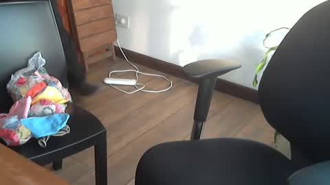 Snapshot of fedeglobos chatting on 09.17.25 fedeGLOBOS online show from 09.17.25