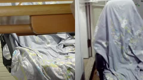 felixlau online show from 12.12.24