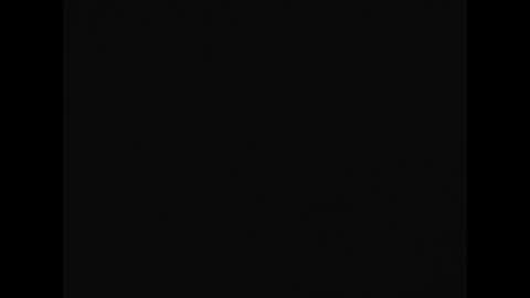 Snapshot of felixthehornycat chatting on 11.04.25 Felix online show from 11.04.25