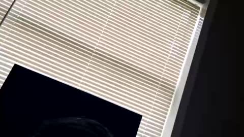 Snapshot of fer28639 chatting on 09.24.25 fer28639 online show from 09.24.25