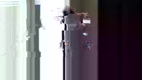 fer28639 online show from 04.11.26