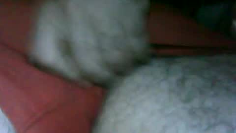 fer_2197 online show from 11.13.25