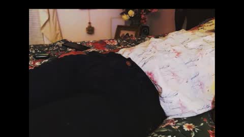 ferra_testarossa online show from 11.24.25