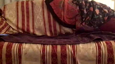 Snapshot of fiii87 chatting on 02.12.25 fiii87 online show from 02.12.25