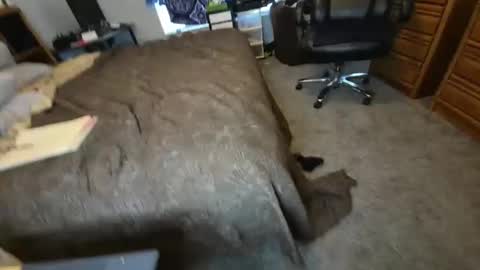 filfaonyx online show from 11.04.25