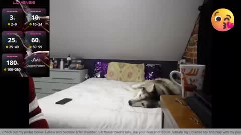 Snapshot of fionna_fineas chatting on 03.30.26 Fionna online show from 03.30.26