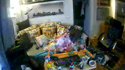 fips1981 online show from 11.21.25