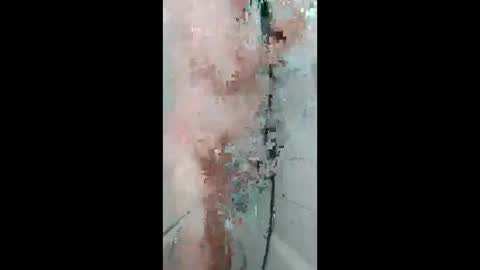 fips1981 online show from 04.18.26