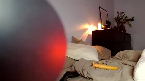 Muse online show from 02.20.26