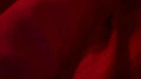 FirstTimeFeak online show from 05.23.26