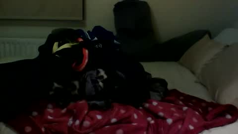 Fitbut online show from 01.30.25