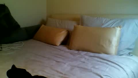 Fitbut online show from 09.15.25