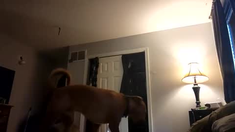 Snapshot of fkmylife6669 chatting on 02.28.25 Nate online show from 02.28.25